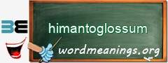 WordMeaning blackboard for himantoglossum